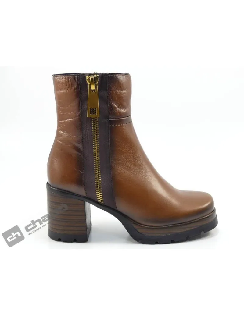 BOTINES BRANDY DORKING D9413AL SAFE