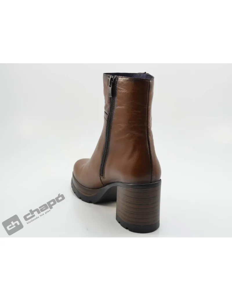 BOTINES BRANDY DORKING D9413AL SAFE