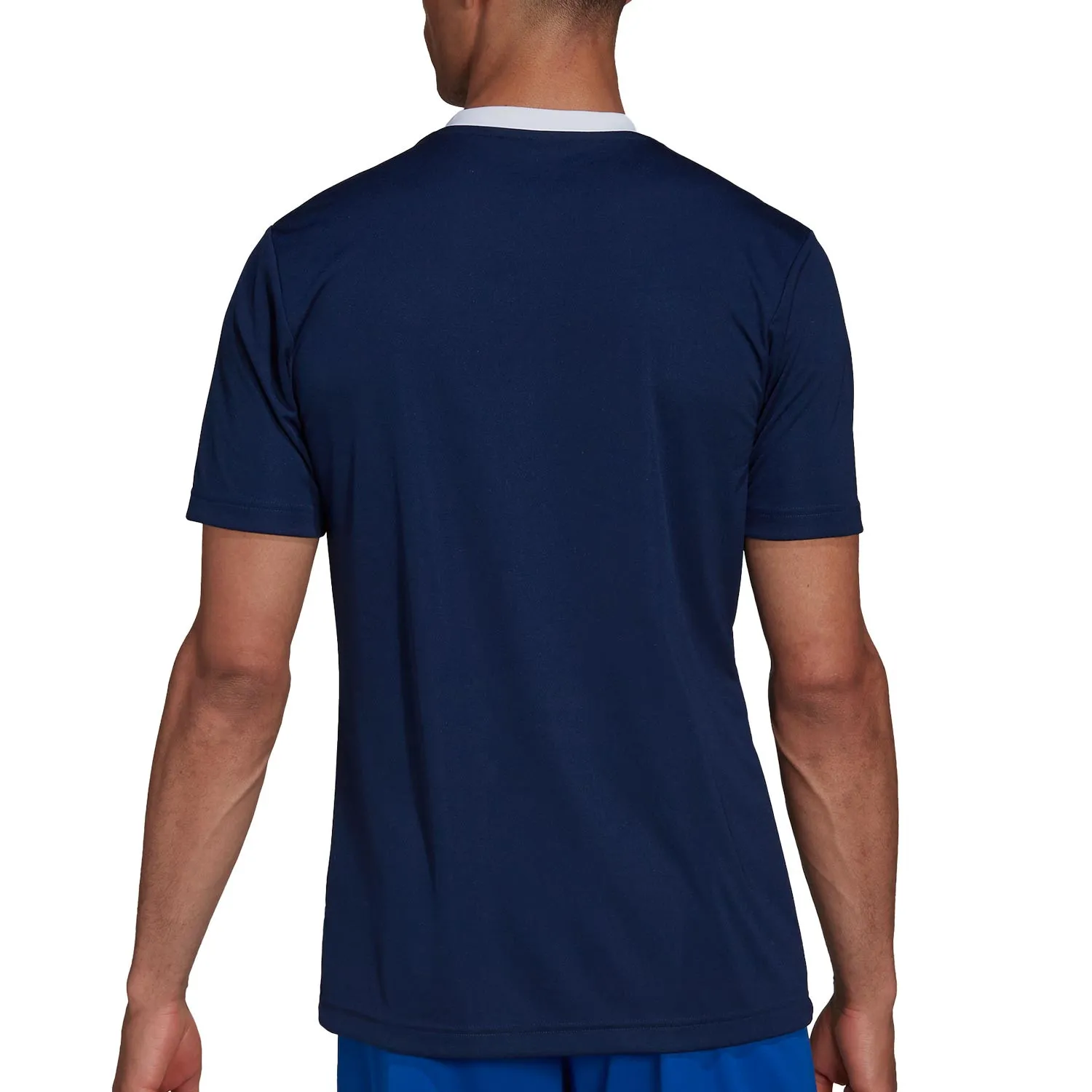 Camiseta adidas Entrada 22