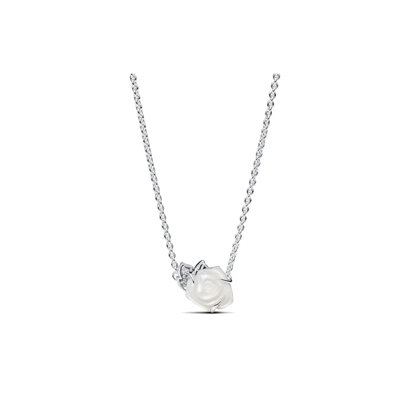 Conjunto de Regalo Rosas B89C2401