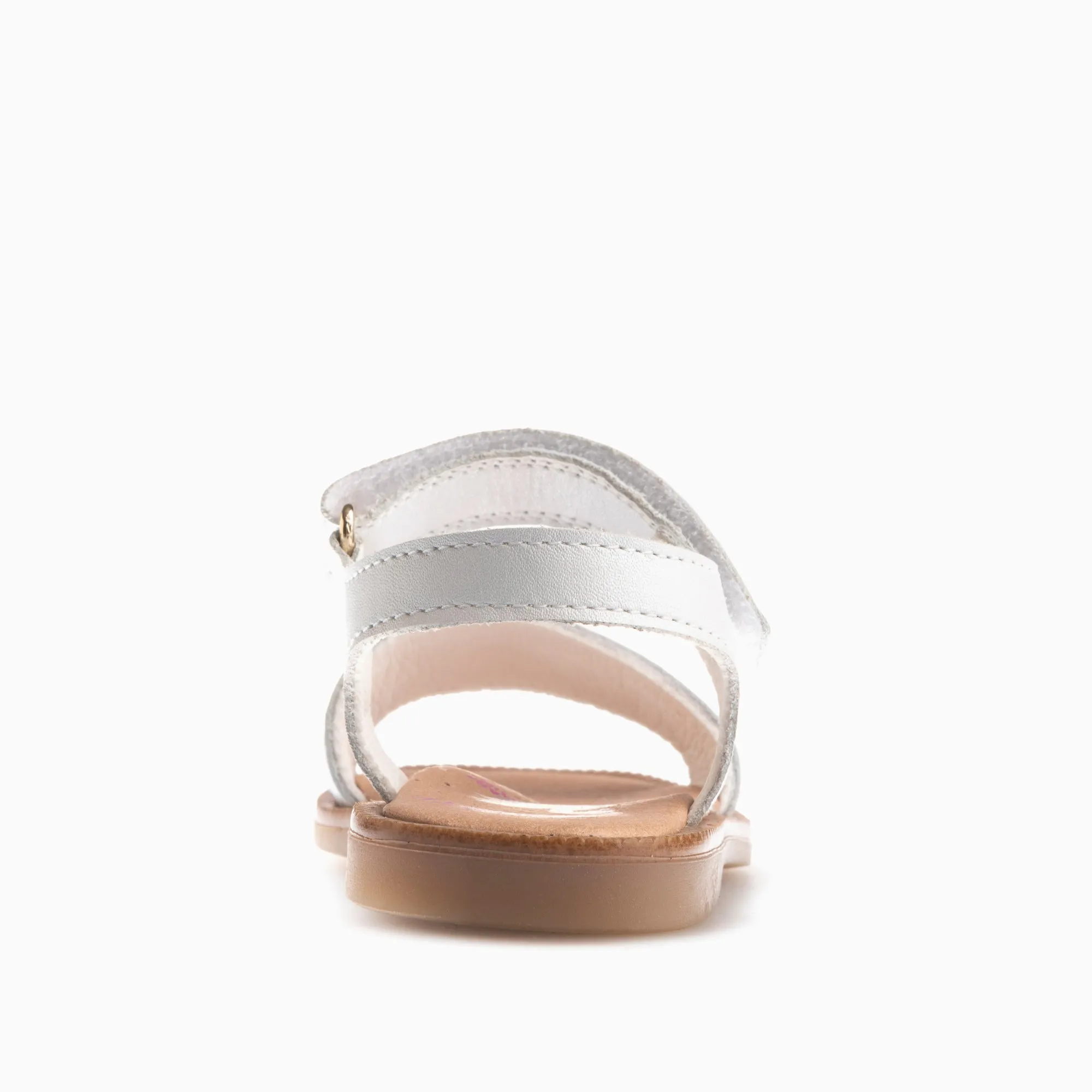 DALIA 030008
