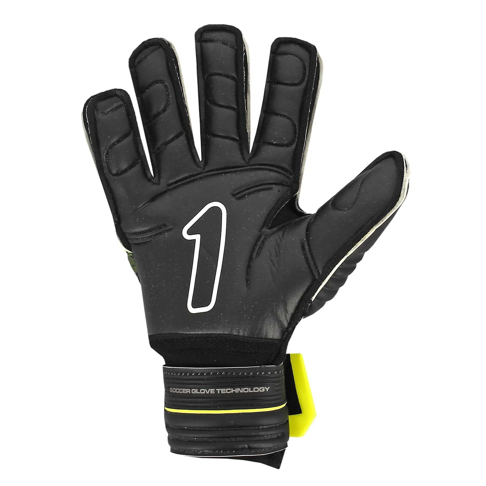 Rinat Kancerbero Invictus Semi niño